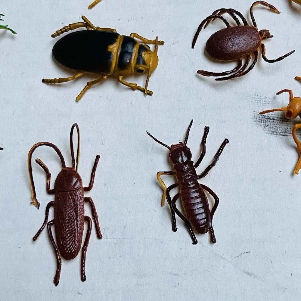 Insects Beetle Fly Weevil Mantis‎ Spider Grasshopper 11 Pieces 2in Vintage 1989